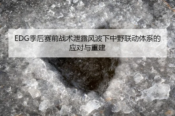 EDG季后赛前战术泄露风波下中野联动体系的应对与重建
